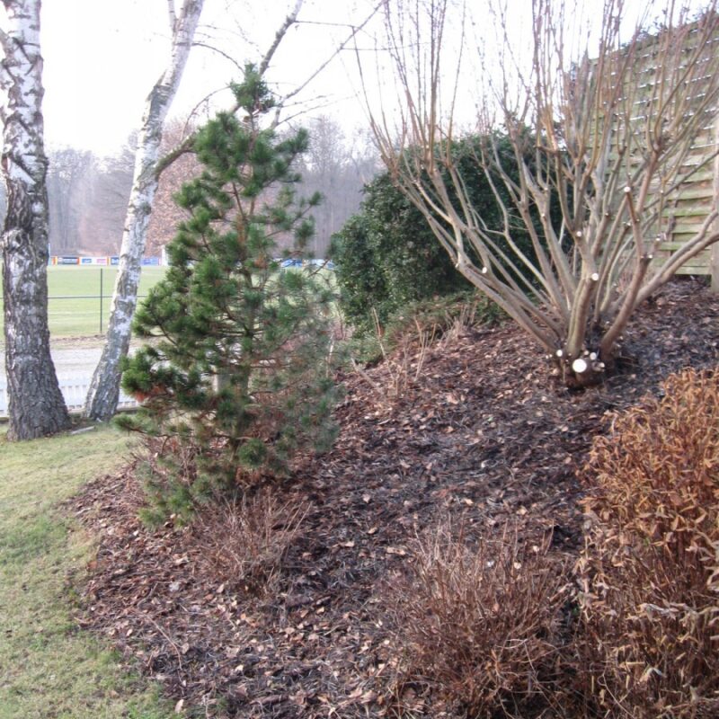 Jardinier, élagueur : élagage, abattage arbre et taille-haie autour de Colmar Wittenheim 7