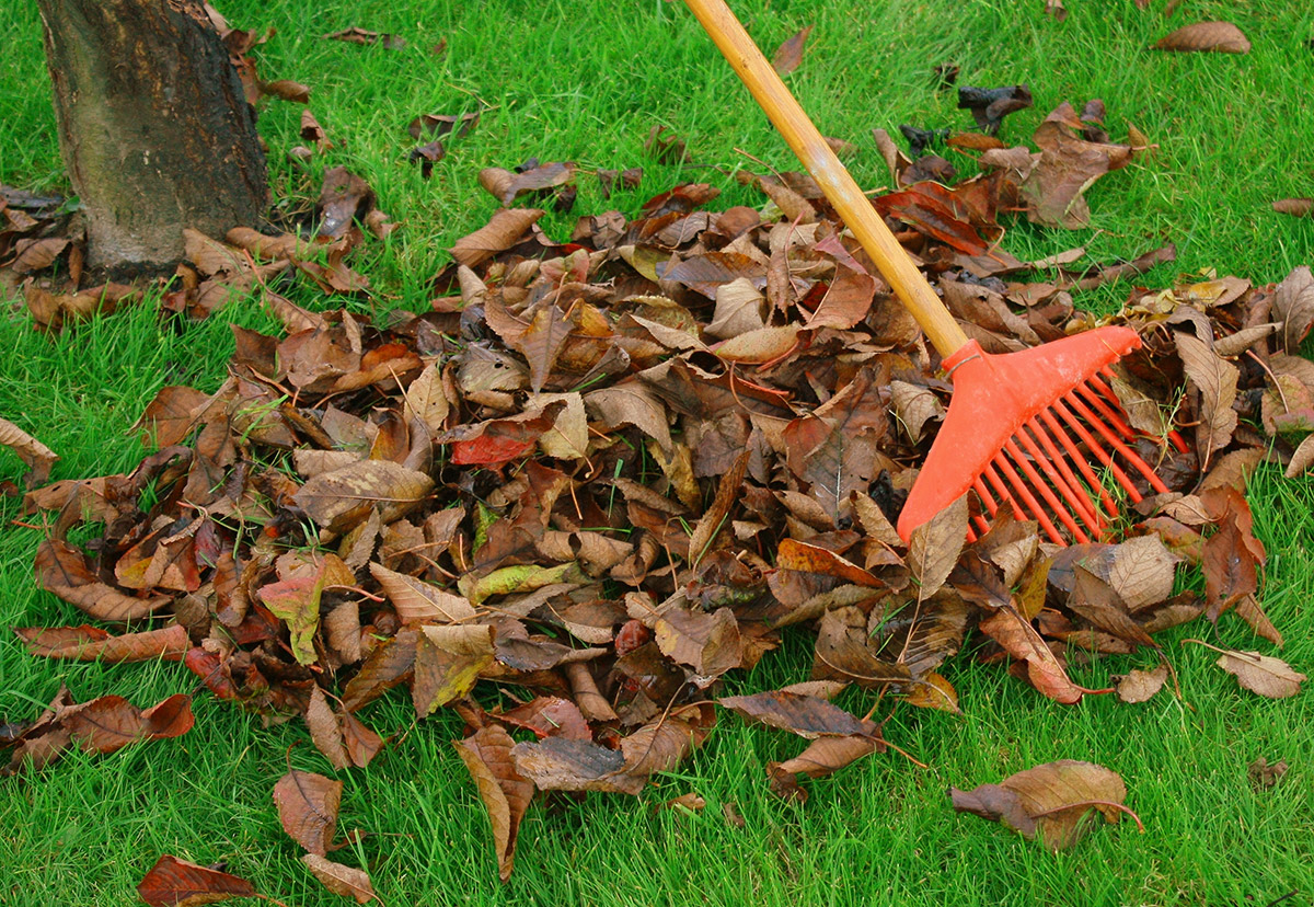 Entretien &#038; aménagement paysager : jardin et espaces verts près de Colmar Guebwiller 0