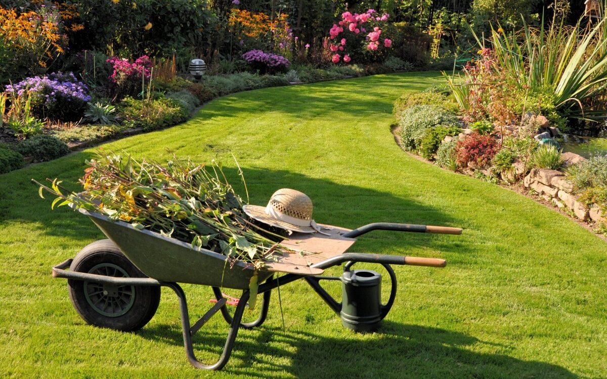 Services à la personne : petits travaux de jardinage vers Colmar Rixheim