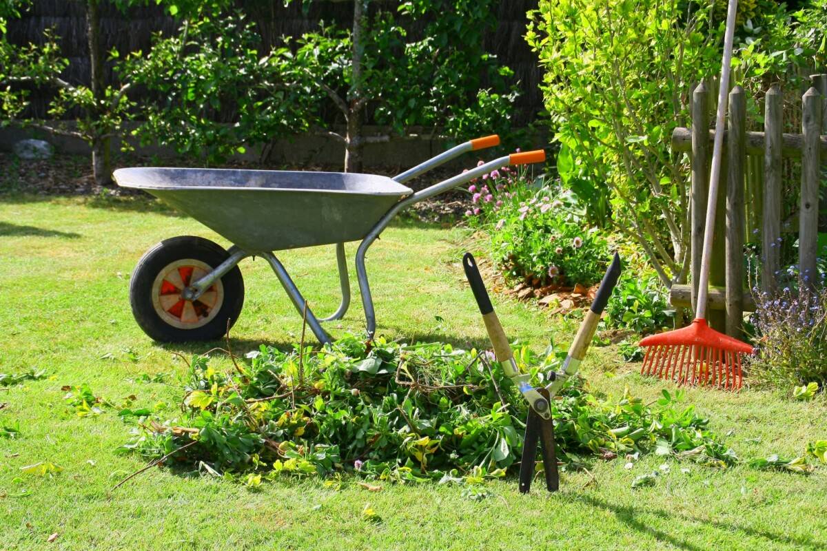 Jardinier, élagueur : élagage, abattage arbre et taille-haie autour de Colmar Guebwiller 0