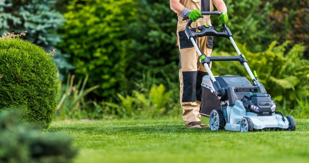 Jardinier à domicile : tonte et entretien de pelouse sur Colmar Riedisheim 0